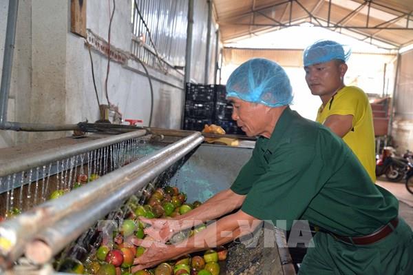 Để hệ thống hợp tác xã không bị bỏ lại phía sau