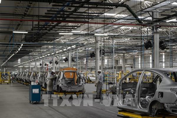 Thị trường lao động Brazil tiếp tục đà hồi phục