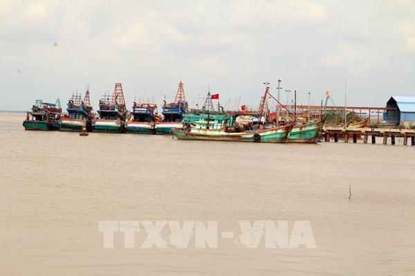 Bến Tre xây dựng hệ thống cảng, khu neo đậu tránh trú bão cho tàu cá