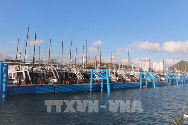 Doanh nghiệp mong ngóng tiếp cận nguồn vốn vay