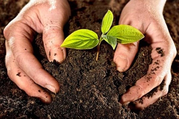 Doanh nghiệp Bỉ nỗ lực thúc đẩy phát triển bền vững