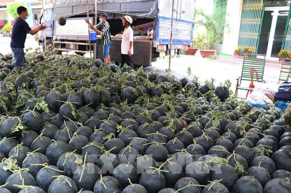 Việt Nam và Trung Quốc ký Nghị định thư về dưa hấu tươi xuất khẩu