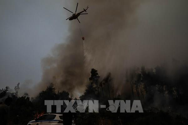 Hàng nghìn người phải sơ tán khi cháy rừng tàn phá đảo Evia vượt tầm kiểm soát