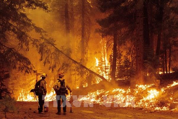 Vụ cháy rừng lớn thứ hai trong lịch sử bang California