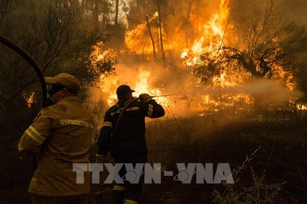 Các nước châu Âu hợp tác chống cháy rừng