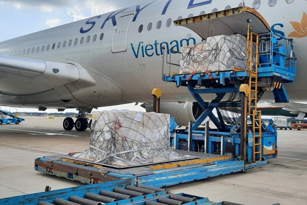 Hơn 203.000 bộ xét nghiệm nhanh do Đức trao tặng về tới Việt Nam