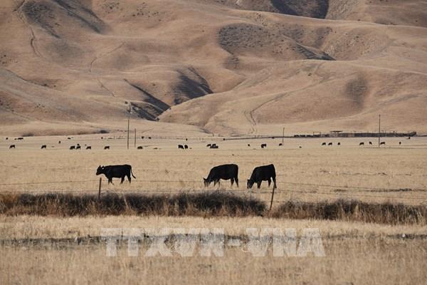 Hạn hán đe dọa nguồn cung cấp nước cho hàng chục triệu người Mỹ