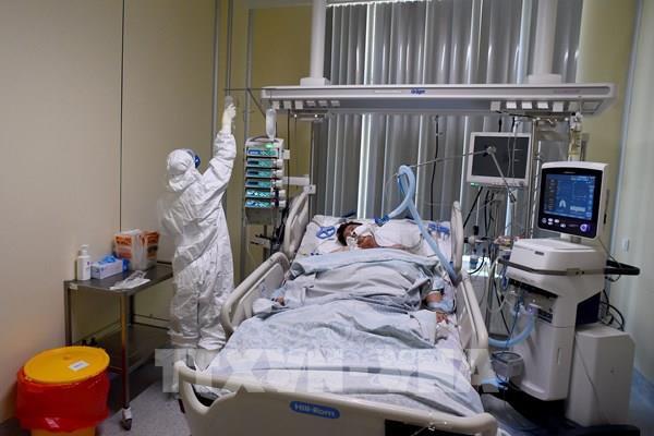 Nga báo động về số ca tử vong do COVID-19