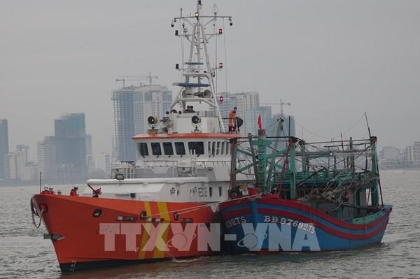 Giảm giá dịch vụ hoa tiêu và lai dắt hỗ trợ doanh nghiệp hàng hải