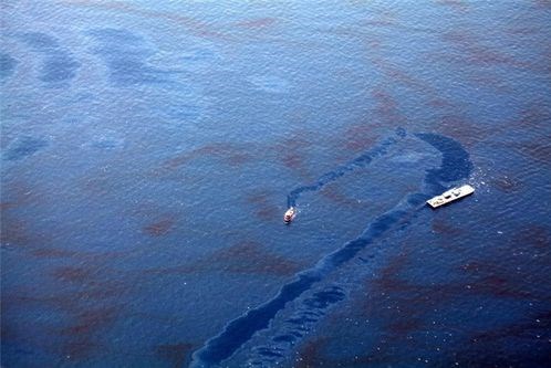 WWF báo động vụ tràn dầu “khổng lồ” trên Biển Đen