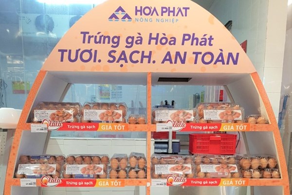 Trứng gà Hòa Phát có mặt tại các siêu thị ở Hà Nội