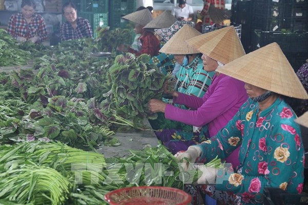 Huy động nguồn lực hỗ trợ hợp tác xã khôi phục, phát triển sản xuất