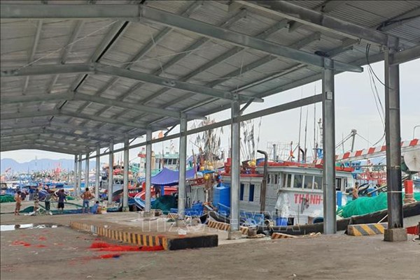 Khánh Hòa lên phương án cho cảng cá Hòn Rớ hoạt động trở lại