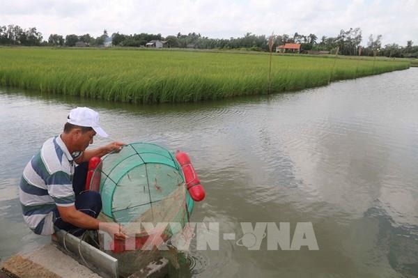 Đã có 37 hợp đồng hỗ trợ tiêu thụ nông sản, thủy sản Trà Vinh