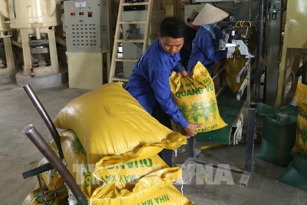 Ngành gạo tập trung nguồn lực bứt tốc 