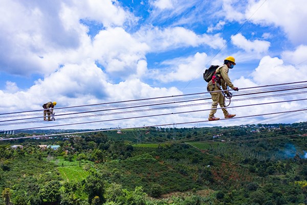PTC3 hỗ trợ Dự án đường dây 500 kV đấu nối vào Nhà máy điện gió Ea Nam