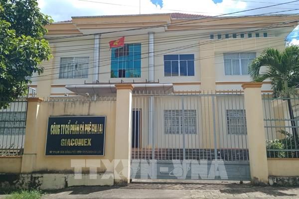 Chuyển hồ sơ sang cơ quan điều tra vụ Giám đốc Công ty CP Cà phê Gia Lai làm trái chỉ đạo