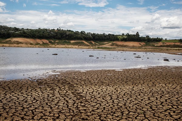 Hạn hán ảnh hưởng nghiêm trọng tới xuất khẩu nông sản của Argentina
