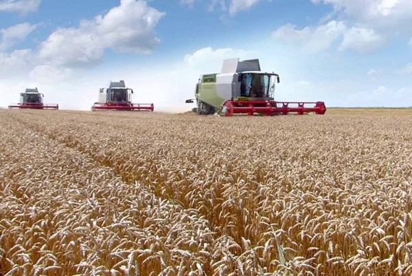 Nông nghiệp hữu cơ đang phát triển mạnh tại Bỉ