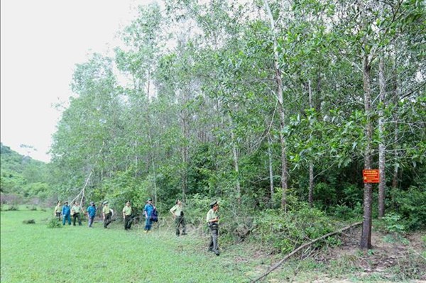 Phú Yên phát thông báo khẩn cảnh báo về nguy cơ cháy rừng cấp nguy hiểm