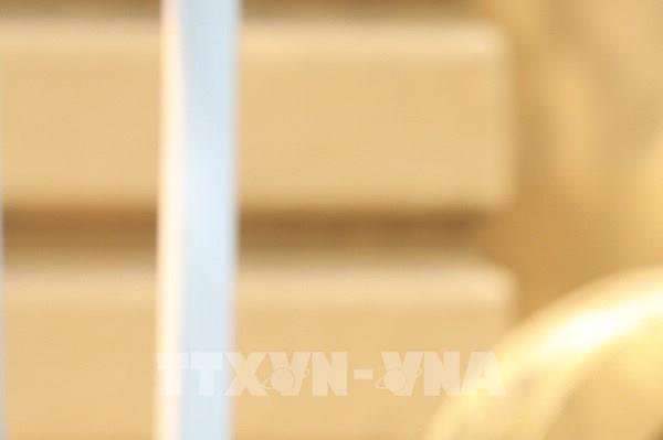 Quỹ vaccine phòng COVID-19 nhận được 8.626 tỷ đồng
