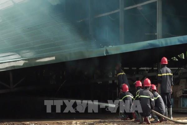 Lửa thiêu rụi xưởng sản xuất chuối và 2 dãy nhà trọ công nhân tại Bình Phước