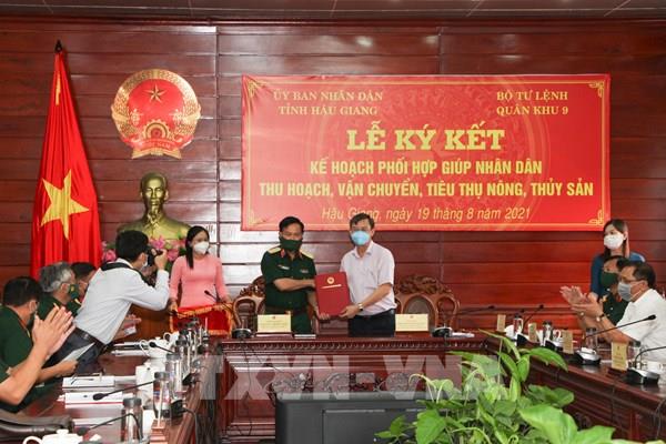 Dịch COVID-19: Hậu Giang phối hợp Quân khu 9 hỗ trợ thu hoạch, tiêu thụ nông thủy sản