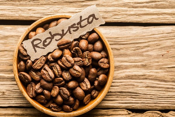 Cà phê robusta gia tăng lợi thế do biến đổi khí hậu