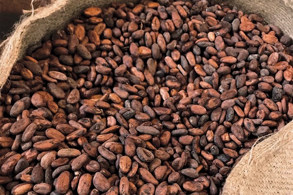 Giá nông sản thế giới hôm nay 19/8