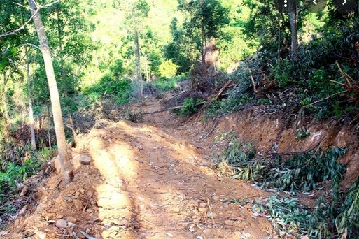 Bạt núi, mở đường trái phép trong rừng phòng hộ ở Quảng Nam: Chuyện đã rồi!