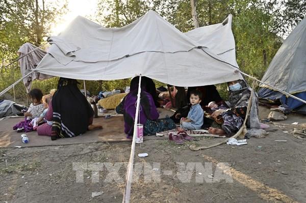 Tây Ban Nha lập trung tâm có thể tiếp nhận 1.000 người tị nạn Afghanistan