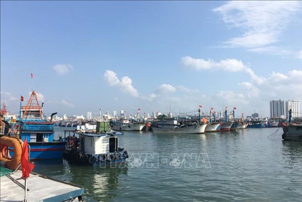 Đề xuất giảm lệ phí ra, vào cảng thủy nội địa