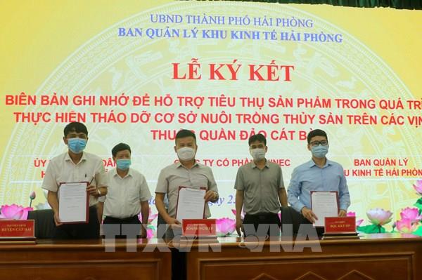 Doanh nghiệp trong Khu công nghiệp Hải Phòng hỗ trợ tiêu thụ thủy sản nuôi tại Cát Bà