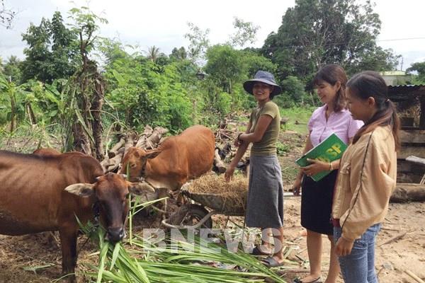 Tín dụng chính sách về miền biên viễn Gia Lai