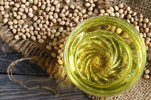 Ấn Độ giảm thuế cơ bản với dầu đậu nành và dầu hướng dương nhập khẩu
