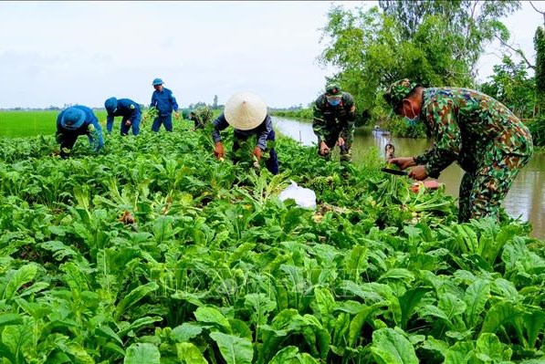 Khuyến khích hợp tác xã làm đầu mối tiêu thụ nông sản