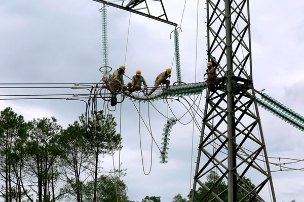 PTC1 nâng cao chất lượng và an toàn trong vận hành lưới điện