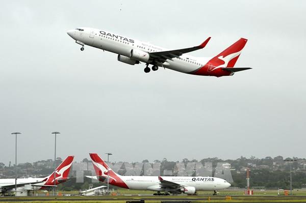 IATA nhận định tích cực về triển vọng phục hồi của ngành hàng không thế giới