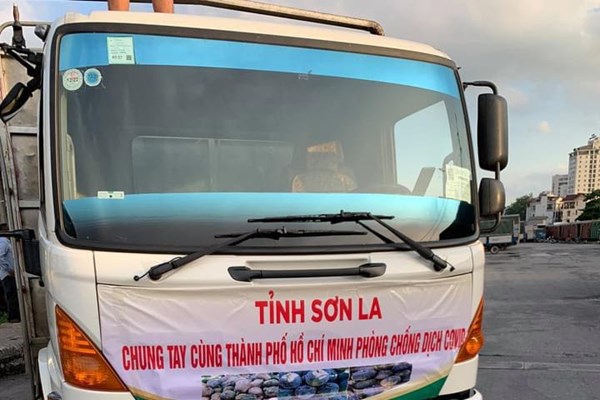 105 tấn nông sản Sơn La tiếp sức cho bà con vùng dịch Tp. Hồ Chí Minh
