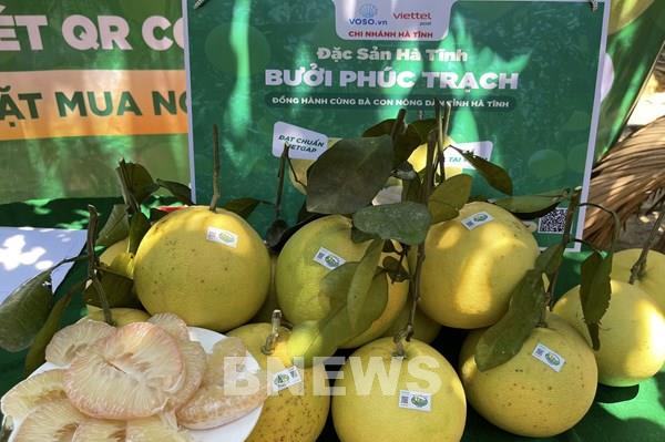 Kích cầu tiêu thụ nông sản qua sàn thương mại điện tử