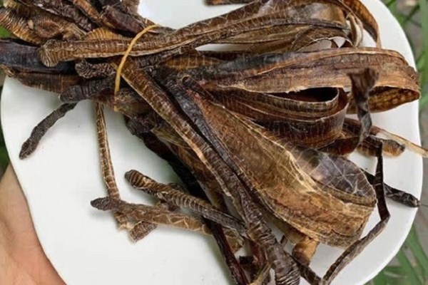 Bộ Y tế khuyến cáo: Dược liệu Địa long không có tác dụng phòng, chống COVID-19