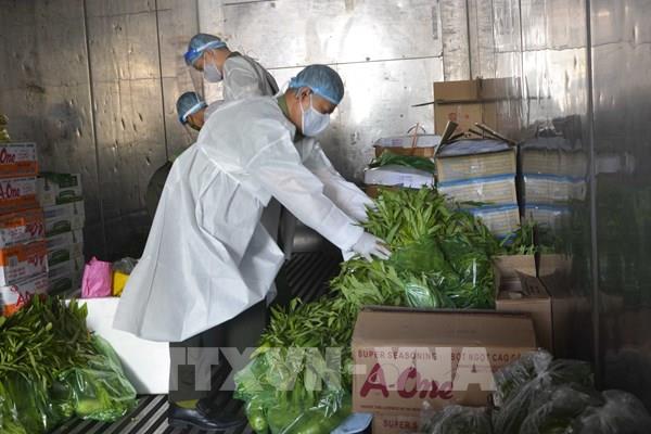 Đà Nẵng: Hỗ trợ nhu yếu phẩm thiết yếu cho trên 50.600 hộ dân