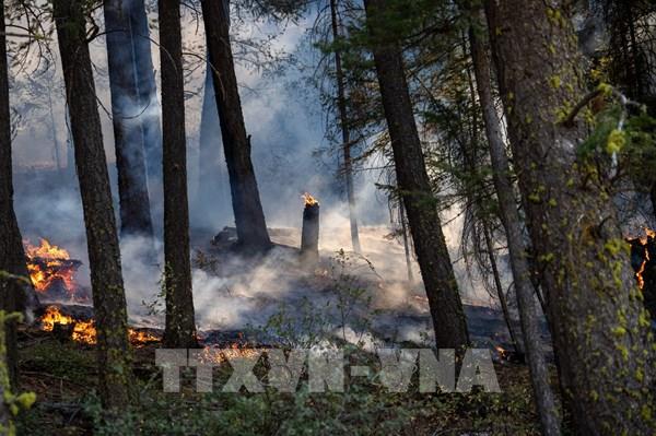 Cháy rừng tiếp tục hoành hành ở bang California