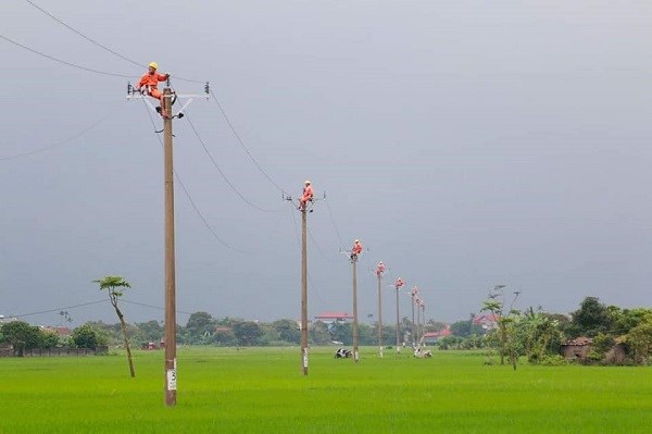 Điện lực miền Bắc tăng cường xử lý tồn tại trên lưới trước mùa nóng