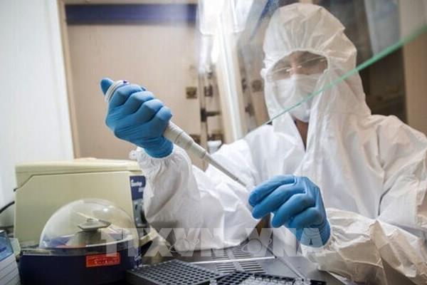 Triển vọng nghiên cứu thuốc điều trị COVID-19 từ nọc độc của rắn