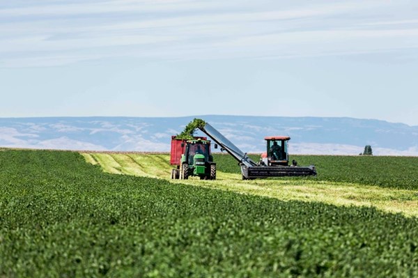 EU ban hành danh mục các sản phẩm, các chất được phép sử dụng trong sản xuất hữu cơ