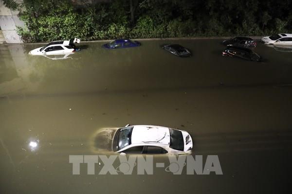 Ít nhất 41 người thiệt mạng do bão tại Mỹ