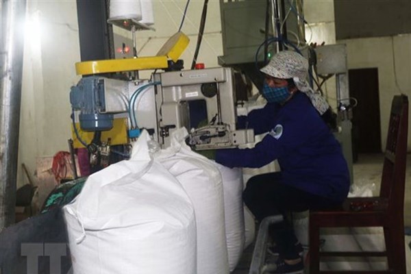  Nhà máy đường Phụng Hiệp sẽ đi vào sản xuất trở lại trước ngày 15/11