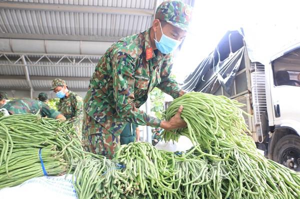 Giải pháp tiêu thụ nông sản cho các tỉnh Đồng bằng sông Cửu Long