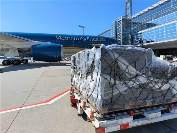 Thêm 180.000 bộ kit xét nghiệm COVID-19 do Đức trao tặng về đến Việt Nam